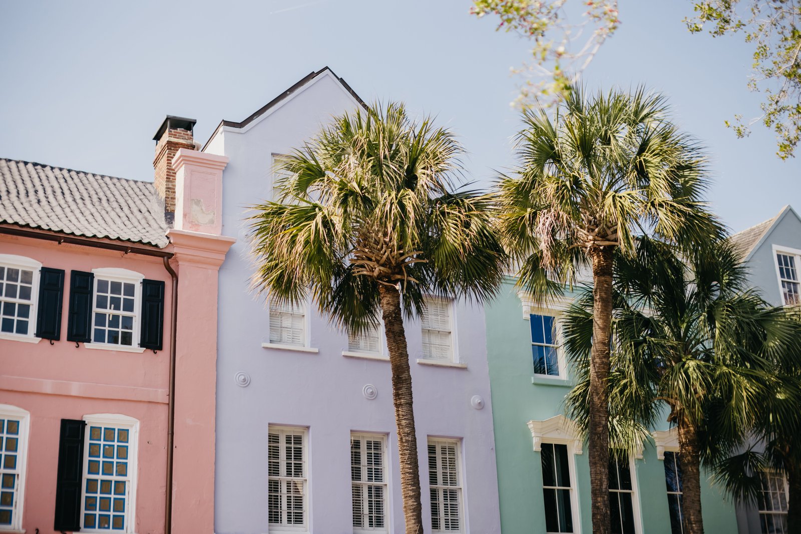 Pastel Charleston homes with palmettos